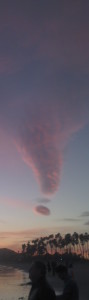 cropped-2012-02-12_17-47-14_441.jpg